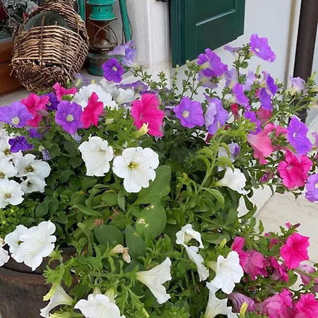 Agritur Girasole * Arco