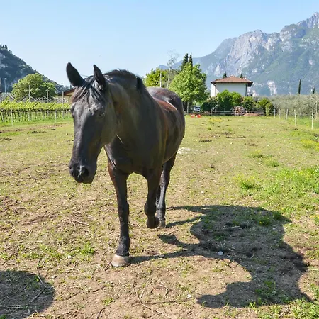 Agritur Girasole * Arco